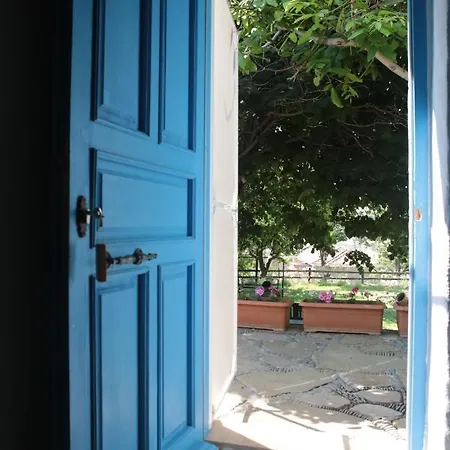 Mustafa'nin Fidan'i * Gokceada