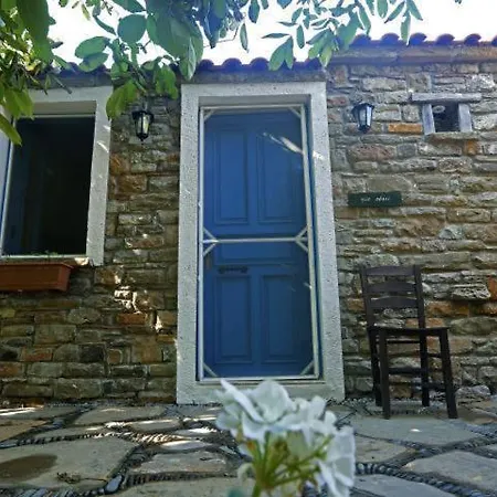 Mustafa'nin Fidan'i
