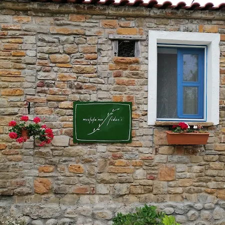 Mustafa'nin Fidan'i İmroz