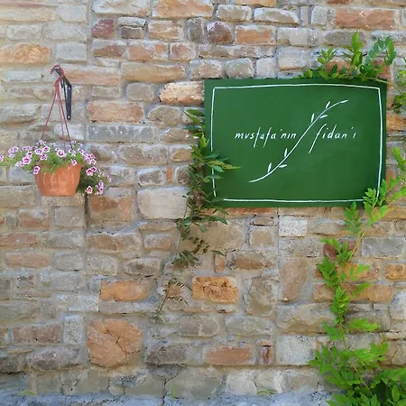 לינה וארוחת בוקר Mustafa'nin Fidan'i İmroz