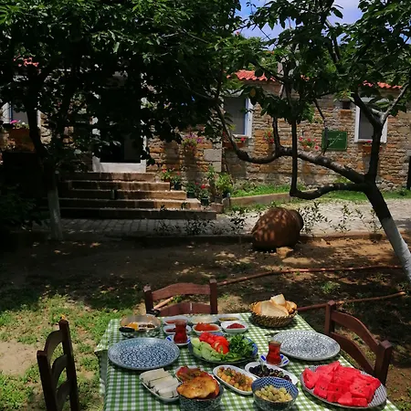 Oda ve Kahvaltı Mustafa'nın Fidan'ı *
