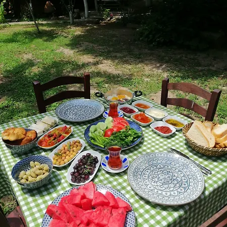 Mustafa'nın Fidan'ı *