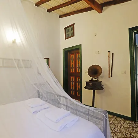 Mustafa'nin Fidan'i *