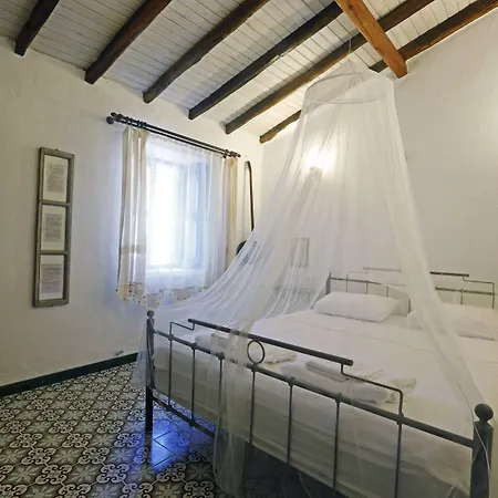 Mustafa'nin Fidan'i *