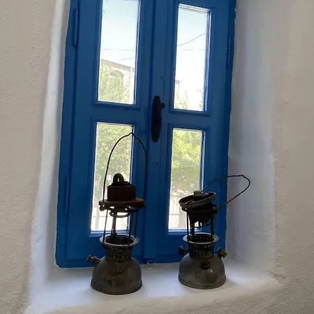 Mustafa'nın Fidan'ı